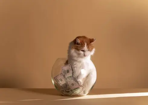 A fluffy white and orange cat sits in a fishbowl with cash, against a beige background in a conceptual art style.